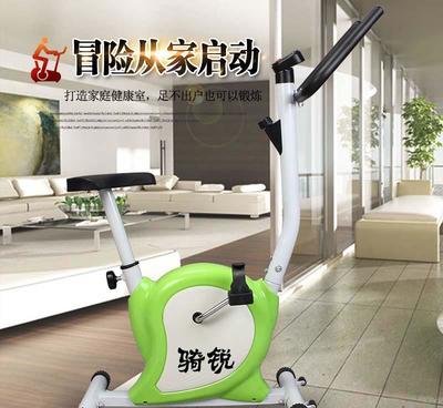 廠家直銷騎銳動感單車 家用健身靜音室內(nèi)運動織帶車 健身車新款