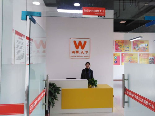 四川網(wǎng)微天下電子商務(wù)