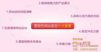 東麗網(wǎng)站建設(shè) 做網(wǎng)站就找天津星科電商 天津網(wǎng)站建設(shè)系統(tǒng)