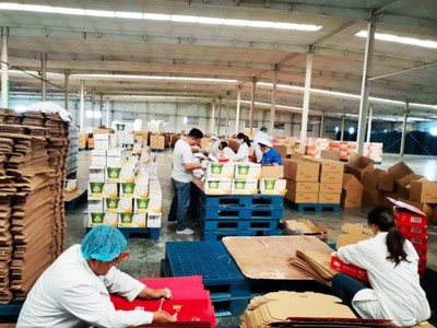 打響“618電商 備貨戰(zhàn)”,匯源開啟年中大促狂歡