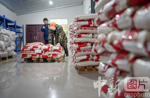 多媒聚焦 電商扶貧助增收