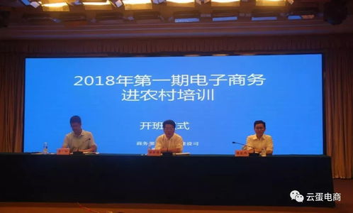 8月,陜西各縣電商工作取得了哪些成果