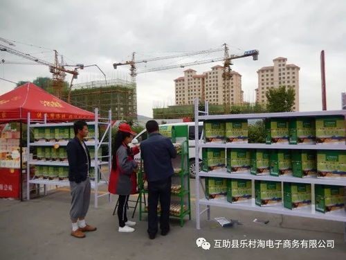 電子商務進農(nóng)村,服務群眾零距離