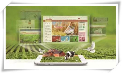 淺析我國農(nóng)業(yè)電商產(chǎn)業(yè)發(fā)展