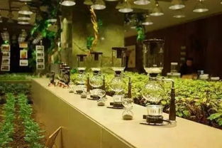 未來5年新農(nóng)業(yè)十大發(fā)展趨勢,不可錯過的高科技現(xiàn)代化農(nóng)場