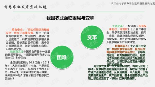 農(nóng)產(chǎn)品電子商務平臺建設整體解決方案.ppt