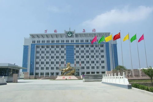 恭喜 我市2家企業(yè)入選2020青島市民企百強(qiáng)