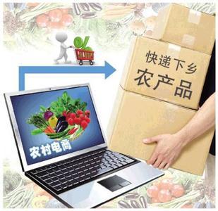 四川省瀘州市瀘縣政協委員建言農村電子商務發展--人民政協網