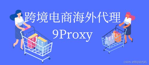 9proxy,跨境電商一站式解決方案