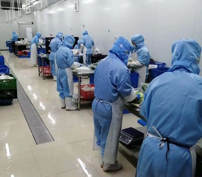 王印--“一棵菜”成就三產融合